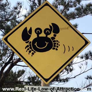 law of attraction tips - feel good - happy crab picture